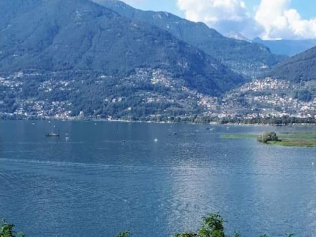 Immobilie kaufen in Gerra, Gambarogno, Tessin