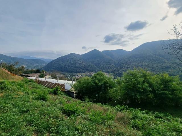 Immobilie kaufen in Biogno-Beride, Tessin