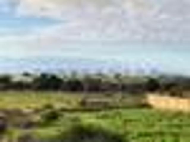Terreno in affitto a Marsala, Sicilia