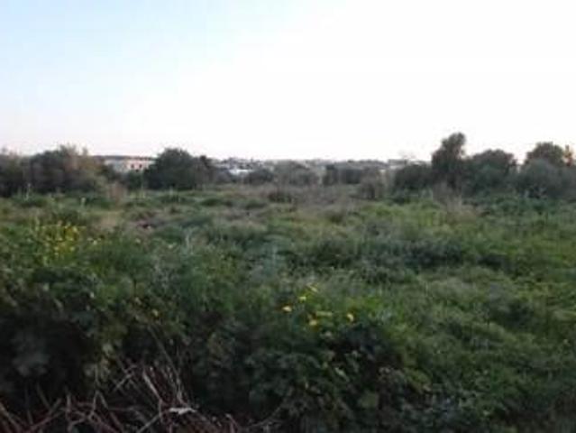 Terreno in affitto a Marsala, Sicilia