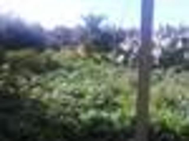 Terreno in affitto a Marsala, Sicilia