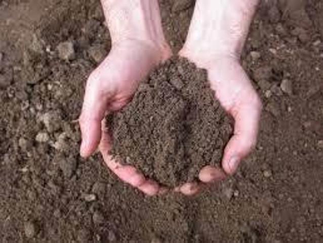 Terreno in affitto a Marsala, Sicilia