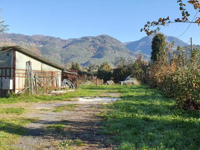 Terreno in affitto a Tonfano, Toscana