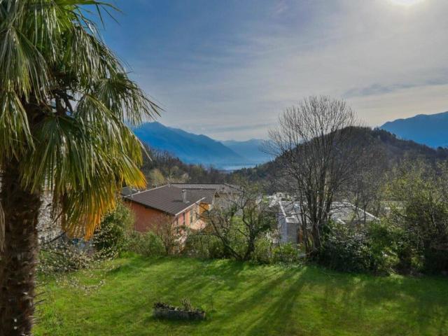 Grundstück kaufen in Losone, Tessin