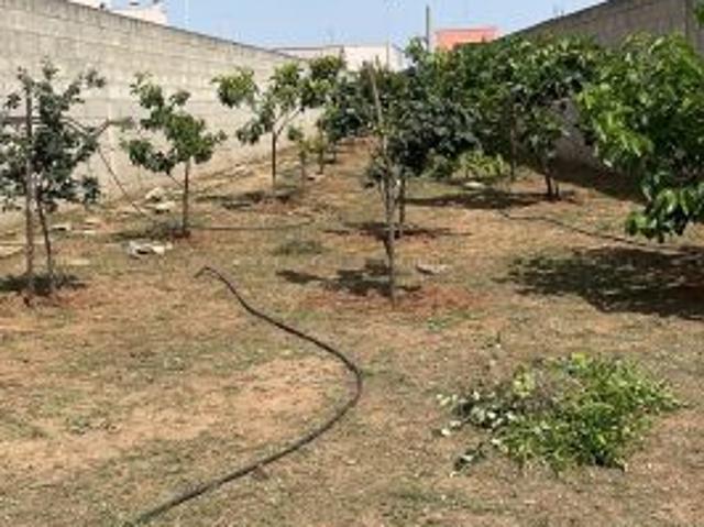 Terreno in vendita a Puglia, Lecce