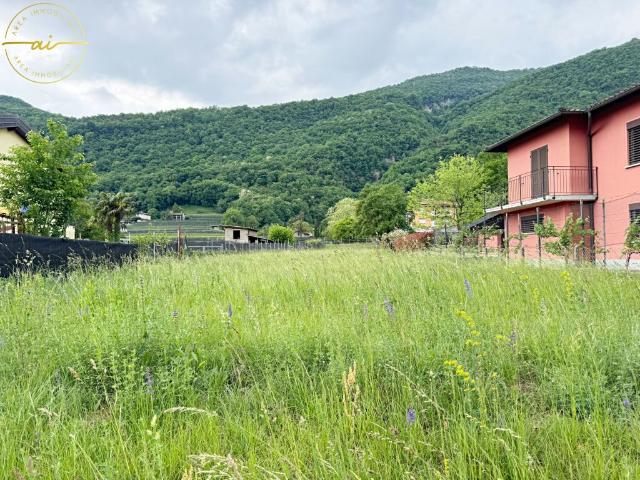 Immobilie kaufen in Riva San Vitale, Tessin