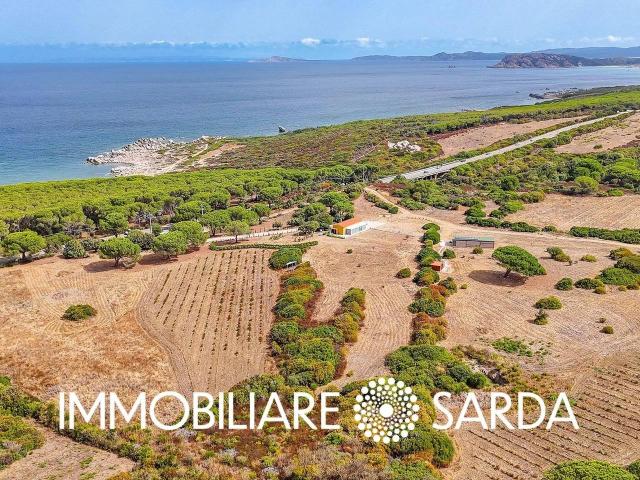 Terreno in vendita a Aglientu, Sardigna/Sardegna