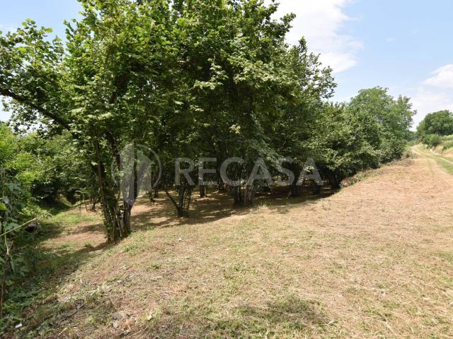 Terreno in vendita a Aiello Del Sabato, Campania