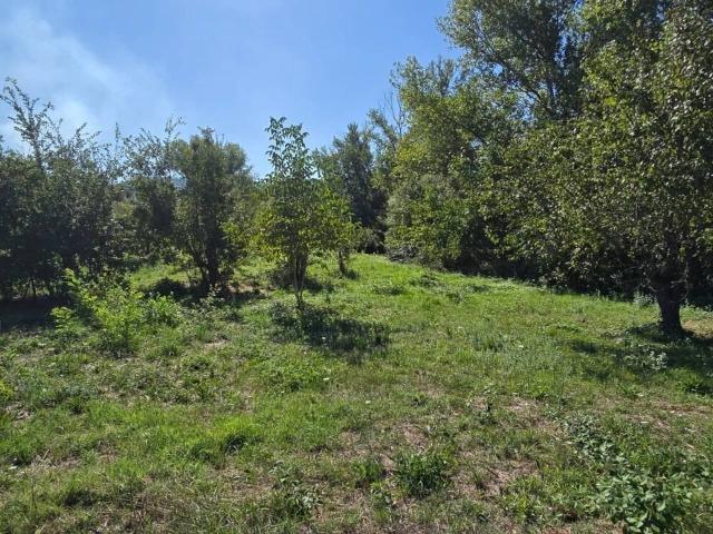 Terreno in vendita a Alanno, Abruzzo