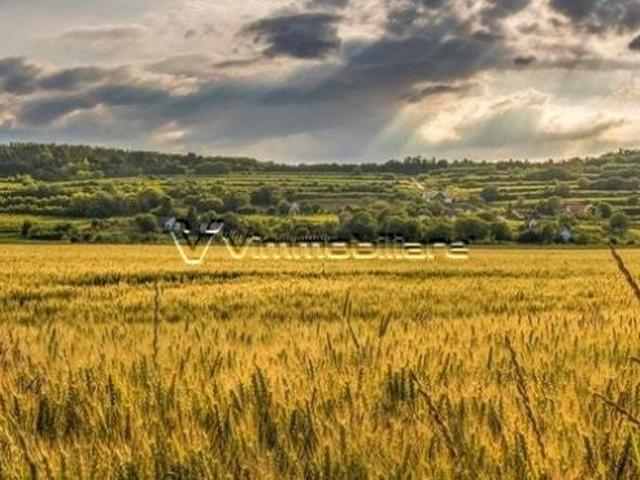 Terreno in vendita a Albettone, Veneto