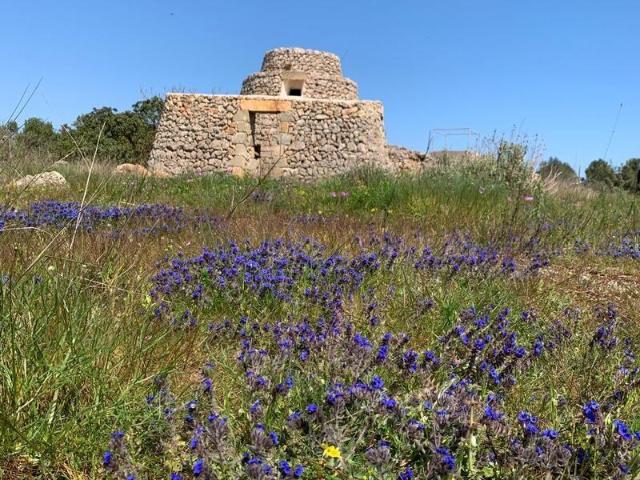 Terreno in vendita a Puglia, Lecce