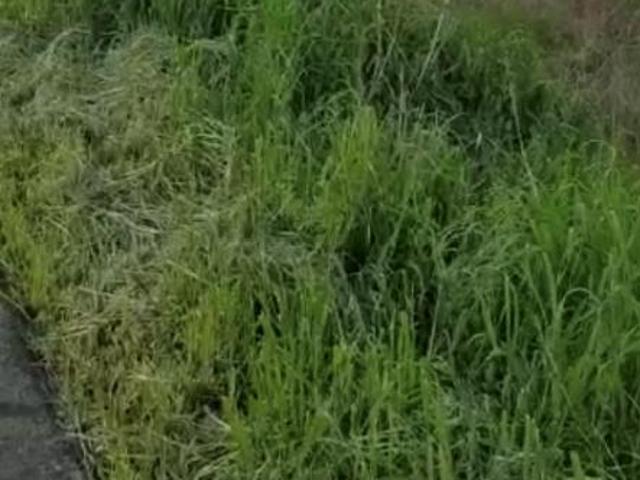 Terreno in vendita a Alseno, Reggio Emilia