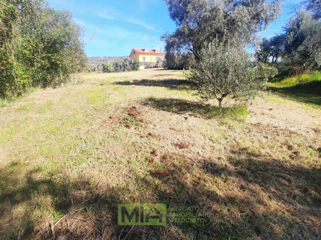 Terreno in vendita a Marche, Fermo