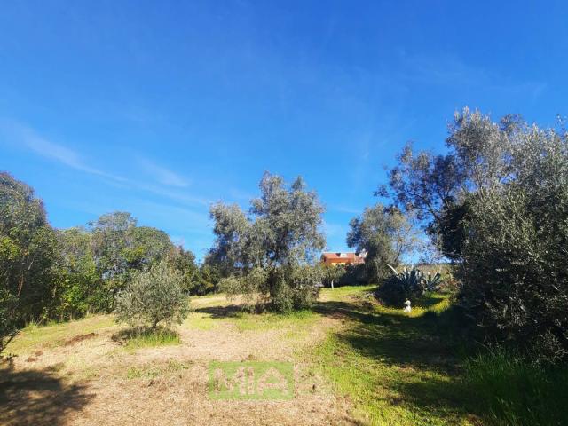 Terreno in vendita a Marche, Fermo
