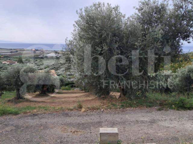 Terreno in vendita a Calabria, Cosenza