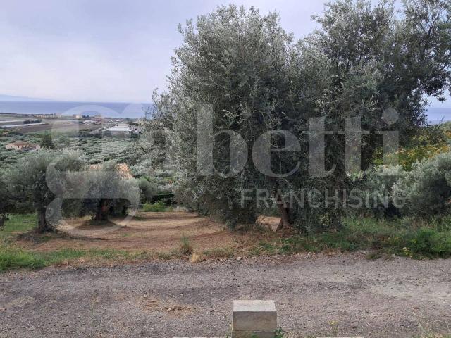 Terreno in vendita a Calabria, Cosenza