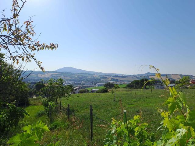 Terreno in vendita a Baraccola Ovest, Marche