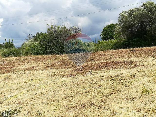 Terreno in vendita a Le Salzare, Aprilia