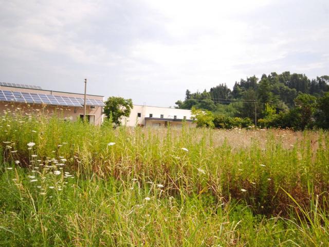 Terreno in vendita a Brecciarolo, Marche