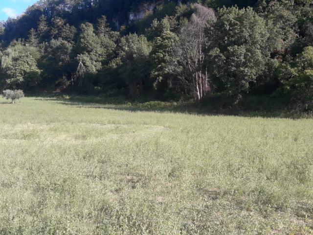 Terreno in vendita a San Giacomo, Marche