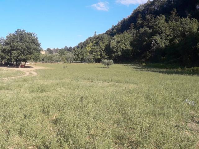 Terreno in vendita a San Giacomo, Marche