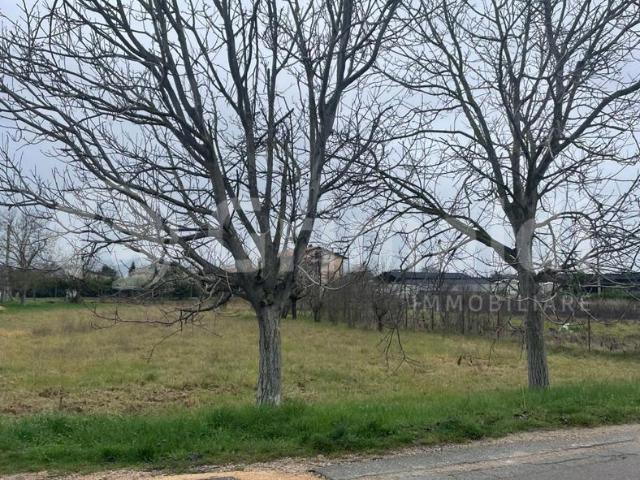 Terreno in vendita a Assisi, Umbria