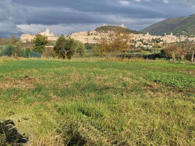 Terreno in vendita a Assisi, Umbria