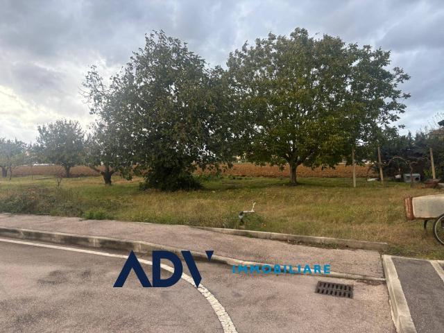 Terreno in vendita a Assisi, Umbria