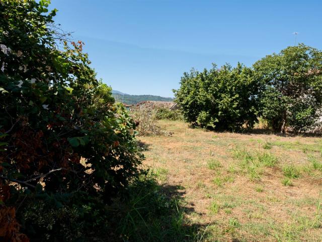 Terreno in vendita a Attigliano, Umbria