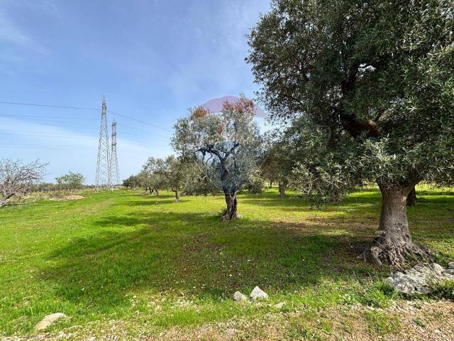 Terreno in vendita a Loseto, Bari