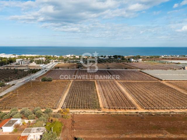 Terreno in vendita a Municipio 1, Puglia