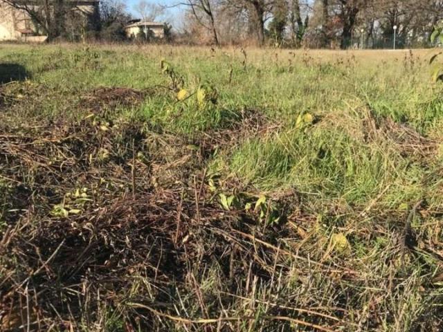 Terreno in vendita a Bettona, Umbria