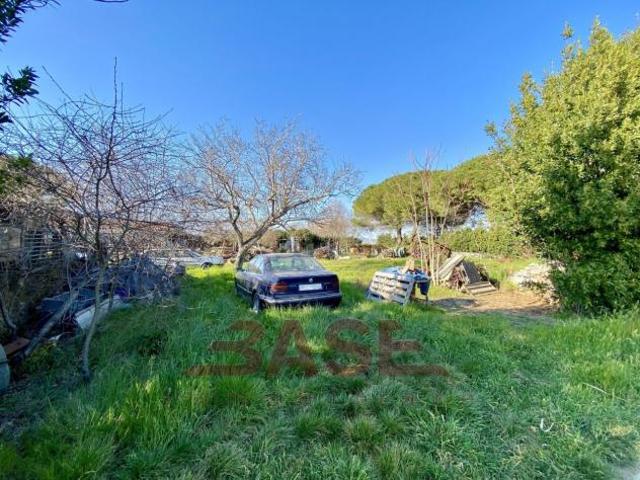 Terreno in vendita a Bibbona, Toscana