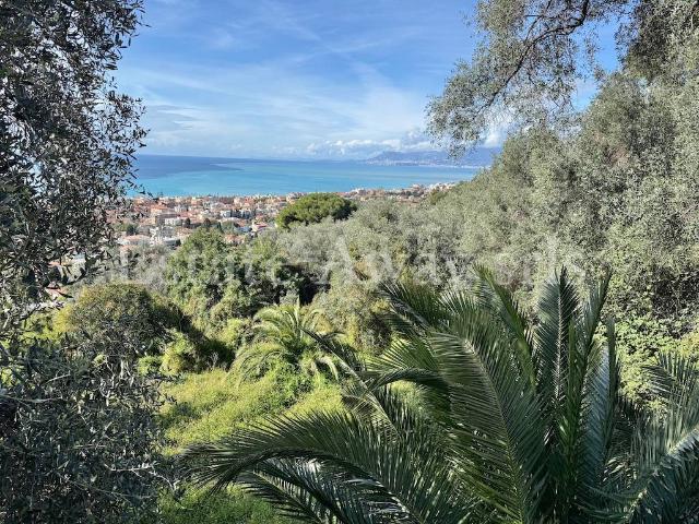 Terreno in vendita a Bordighera, Liguria