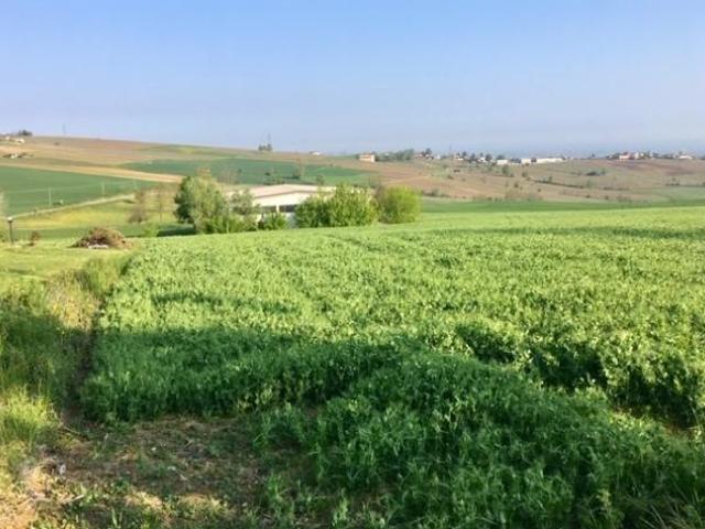 Terreno in vendita a Borgonovo Val Tidone, Reggio Emilia