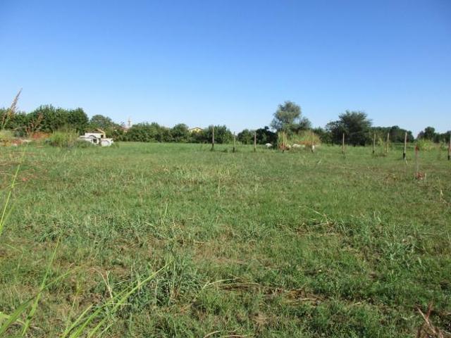 Terreno in vendita a Borgoricco, Veneto