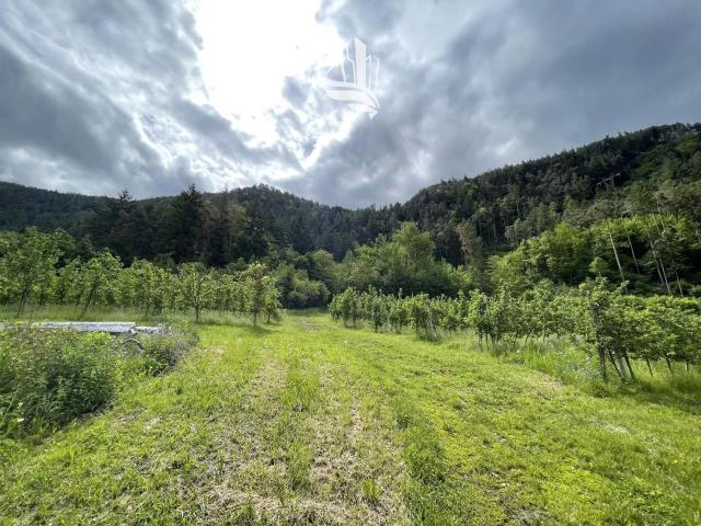 Terreno in vendita a Eisacktal - Valle Isarco, Cleran