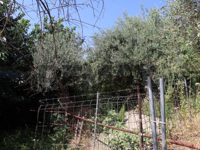 Terreno in vendita a Calatabiano, Sicilia
