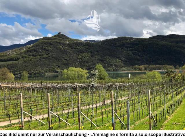 Terreno in vendita a Überetsch-Unterland - Oltradige-Bassa Atesina, Caldaro - Kaltern