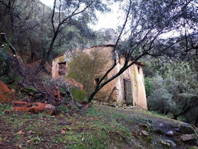 Terreno in vendita a Camaiore, Toscana