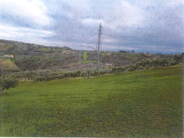 Terreno in vendita a Cesenà, Campli
