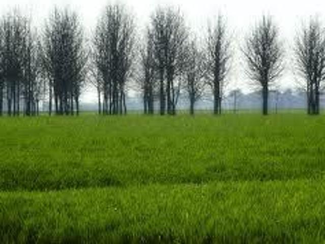 Terreno in vendita a Campodoro, Veneto