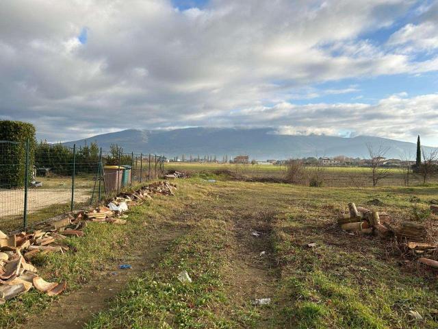 Terreno in vendita a Cannara, Umbria