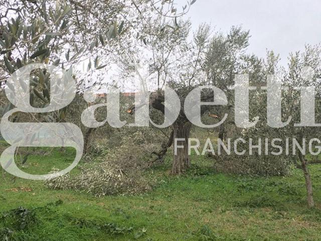 Terreno in vendita a Puglia, Barletta-andria-trani