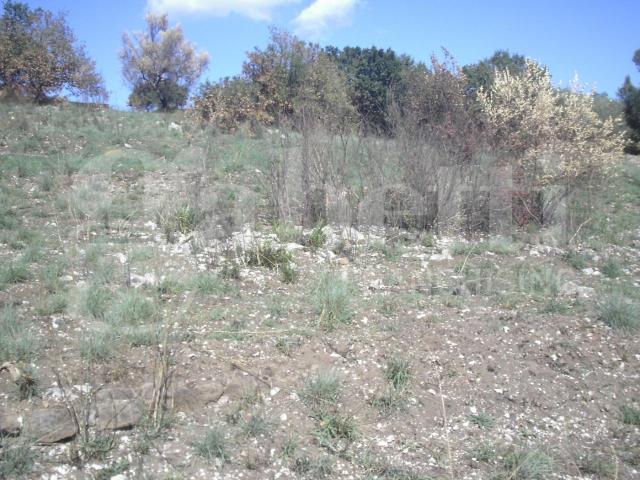 Terreno in vendita a Capua, Campania