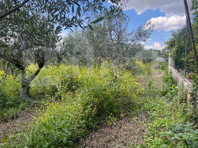 Terreno in vendita a Capua, Campania