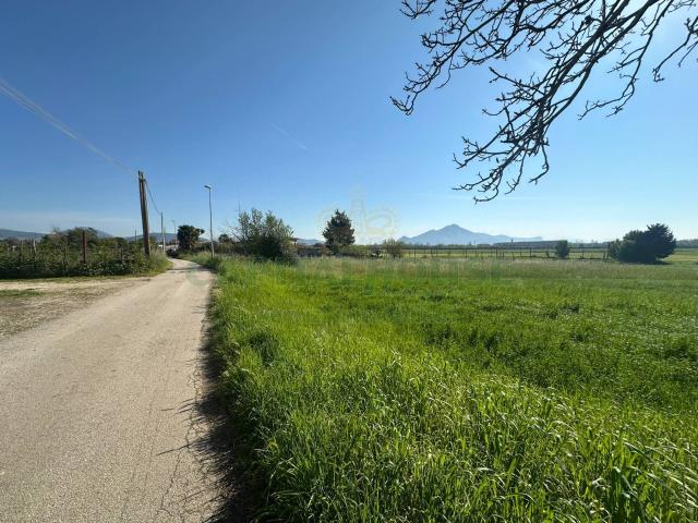 Terreno in vendita a Capua, Caserta