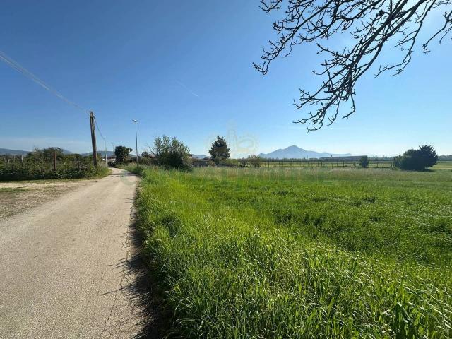 Terreno in vendita a Capua, Campania