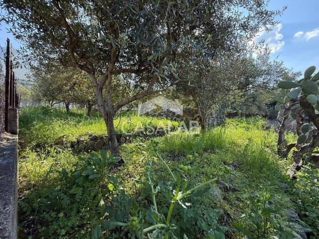 Terreno in vendita a Carini, Sicilia
