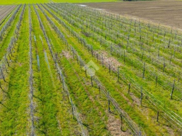 Terreno in vendita a Unione delle Terre d'Argine, Carpi